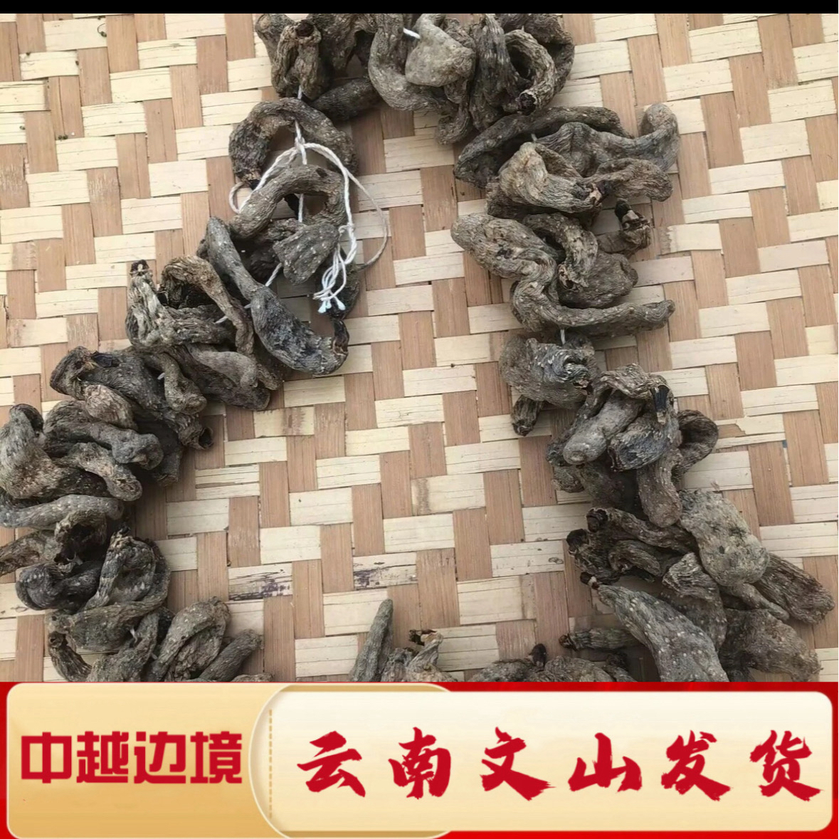 【村长严选】12云南乌天麻山上野货农家自串山货