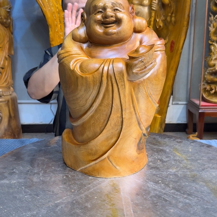 香樟木晨*长30厘米高50