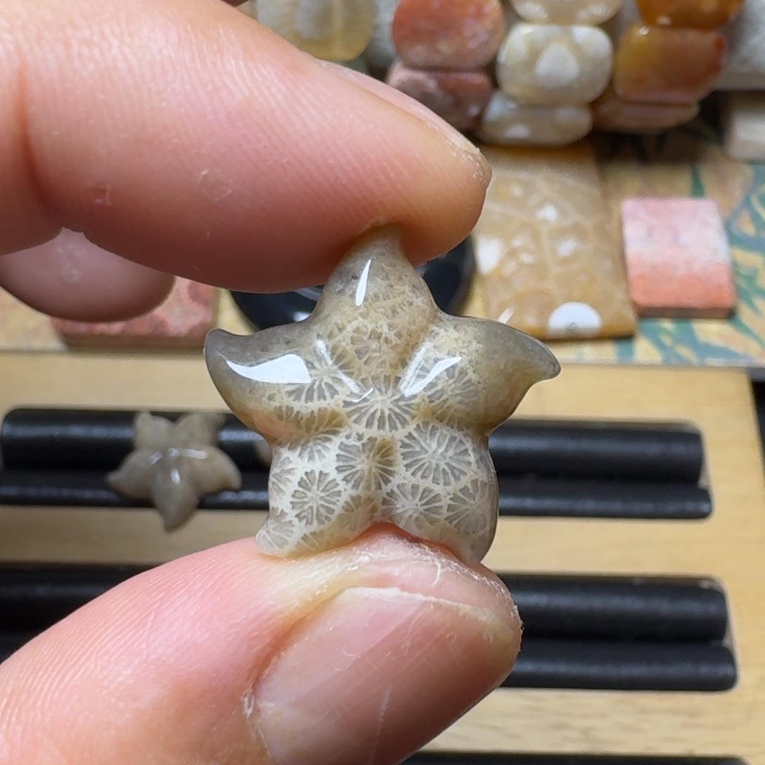 硅化玉冰 枫叶 海星未镶嵌