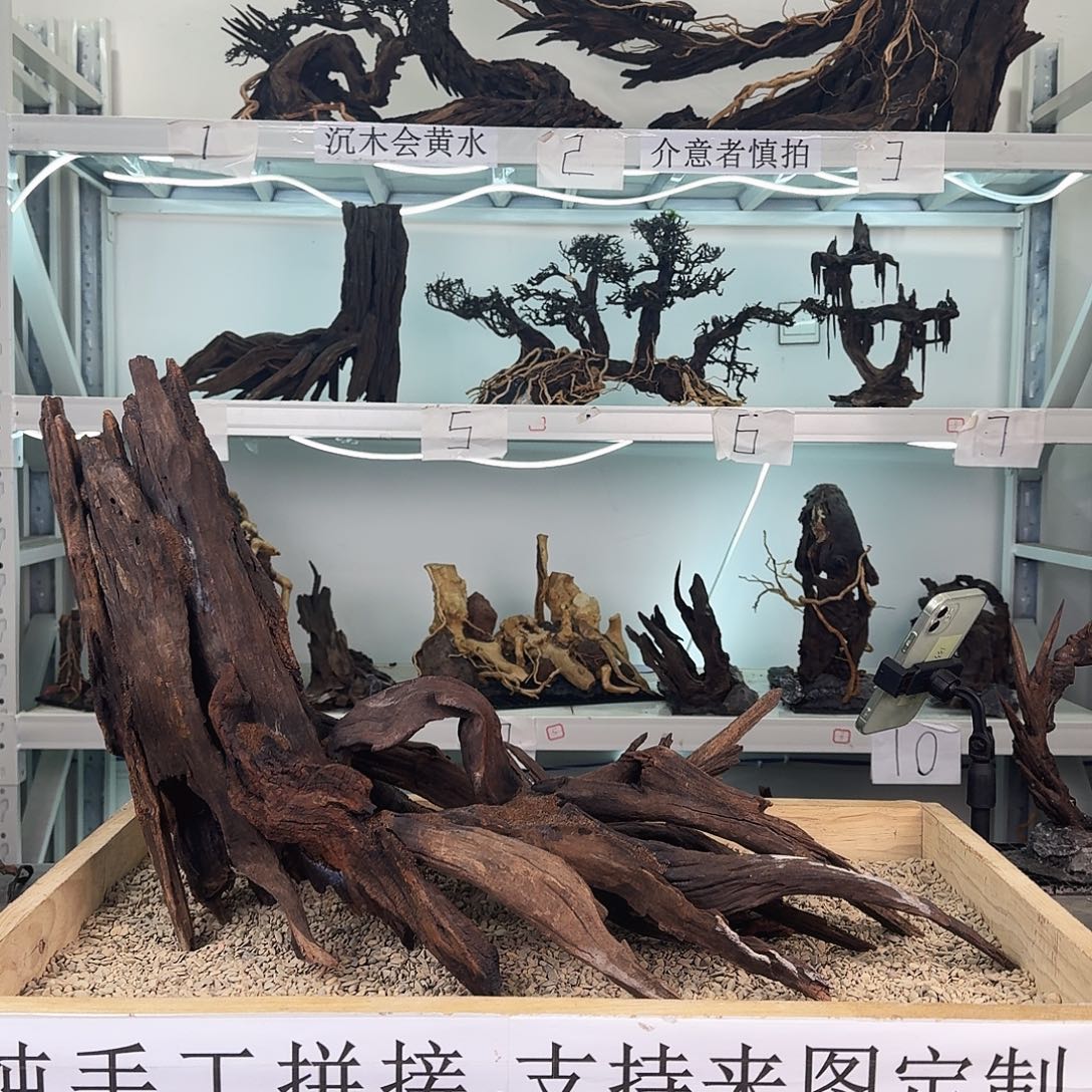 张***）沉木造景沉木造景