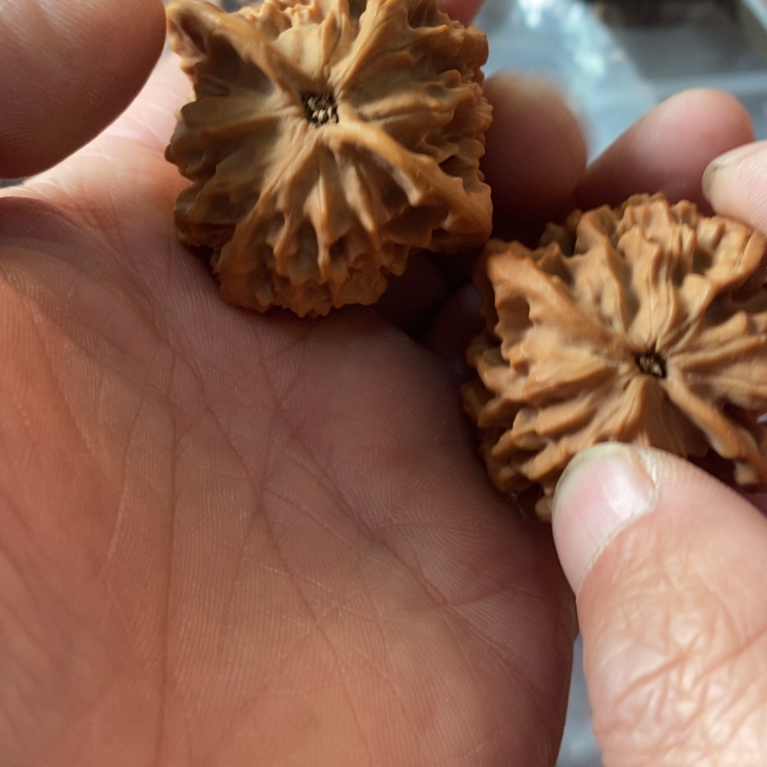 秦岭南缘等多块山地