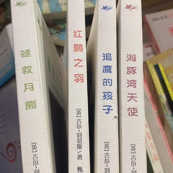 吉儿刘易斯4笨样书