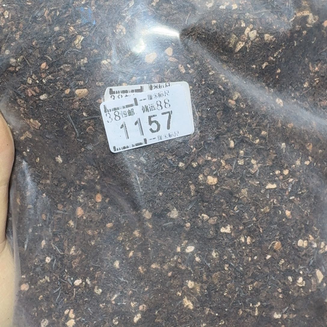 zzz生石花肉锥1157