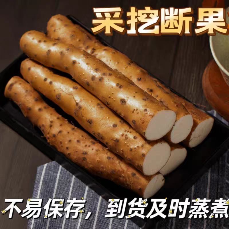 【断果山药】产地直发香糯新鲜现挖正品