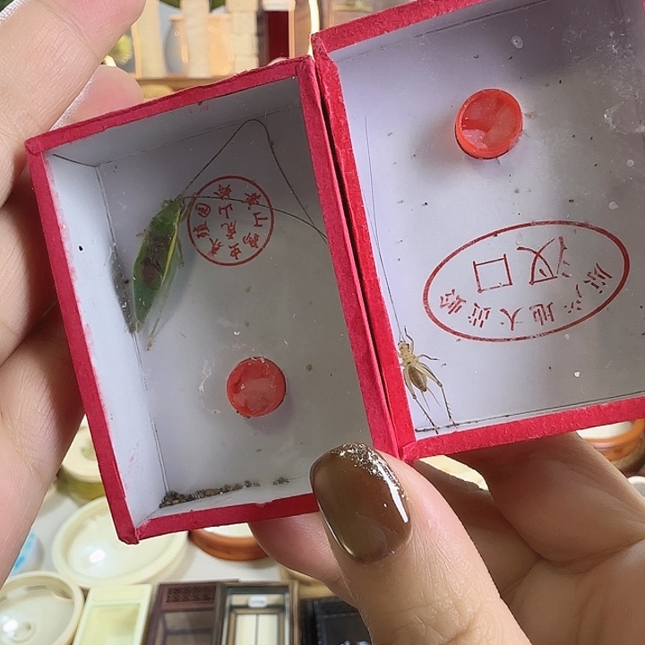 道***）汊口➕绿金钟66666666