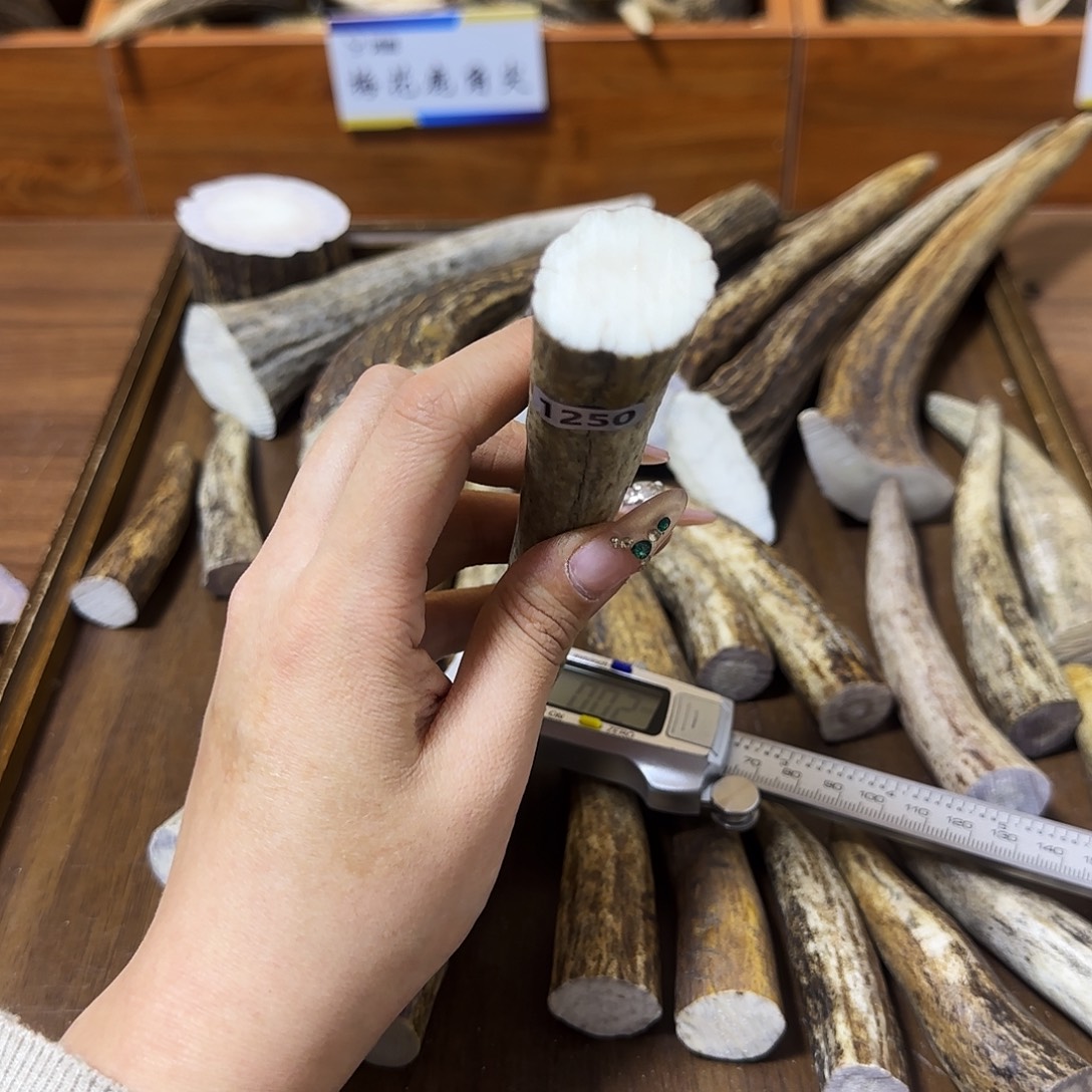 鹿骨手串/手链1250角尖