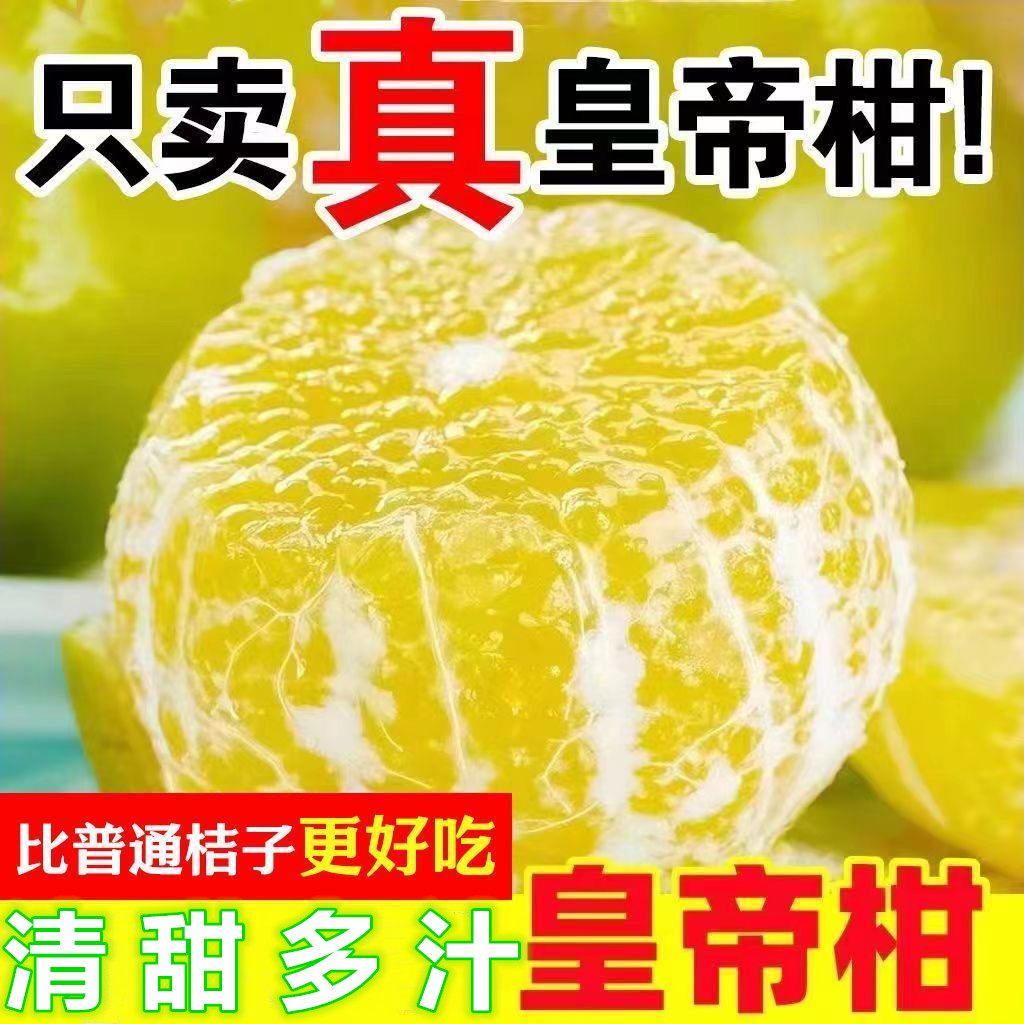 【整箱5斤】广西皇帝柑贡柑当季新鲜水果橘子桔子新鲜采摘