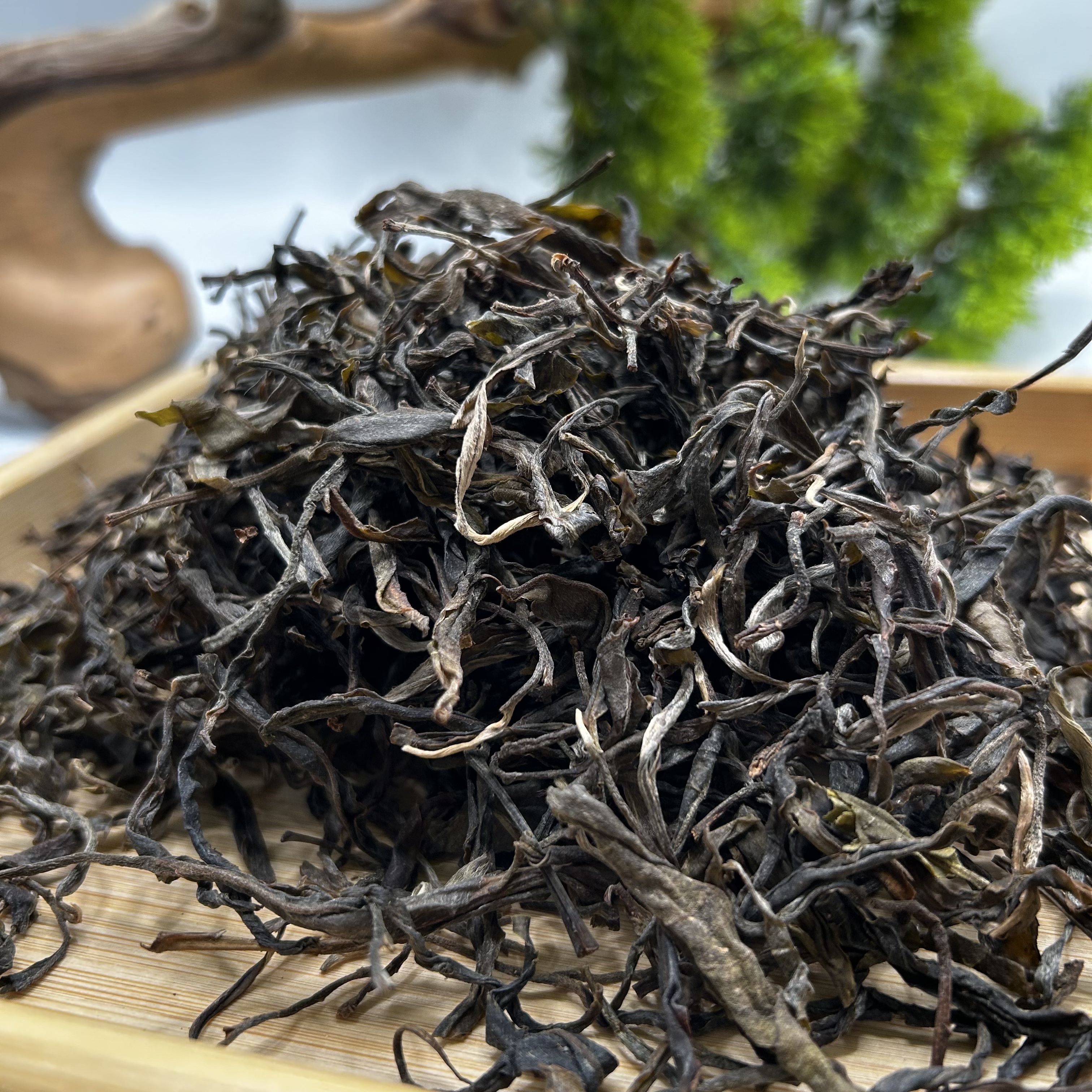 赢瑞 黑条子单株（福袋同款）  普洱茶生茶 500克/袋 普洱茶生茶