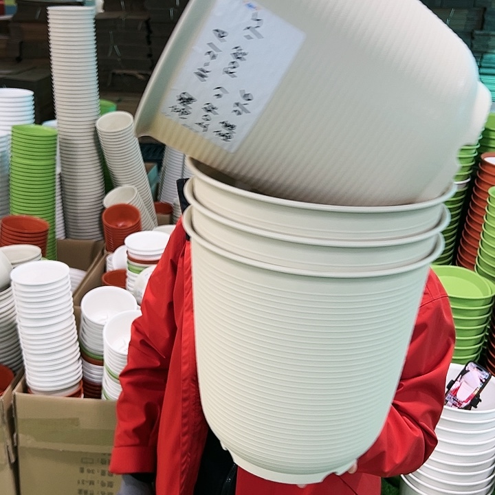 正品高陶口27高27.6米色无托4只