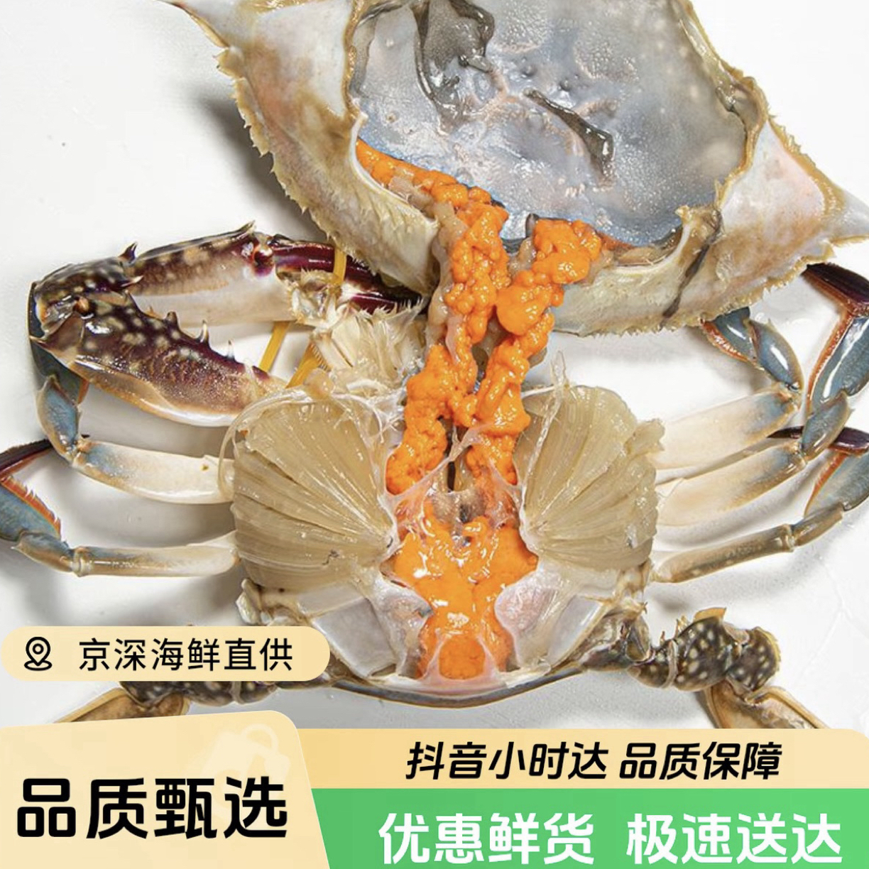 （鲜活）巨无霸全黄母梭子蟹5-6两每只(1-5斤多规格可选)海鲜梭子蟹到家鲜活北京同城【保鲜不保活】