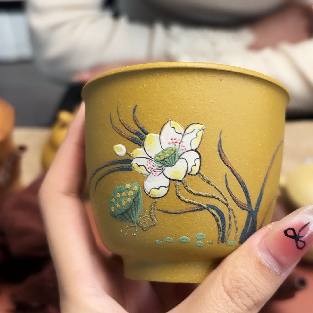 紫砂五号店专项 不退换