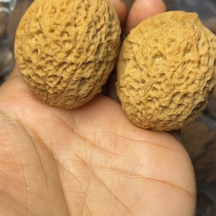 把件文玩核桃云南铁核桃9