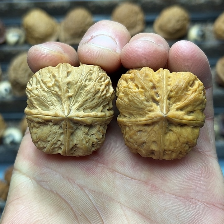 把件文玩核桃22号梅花四棱39尺