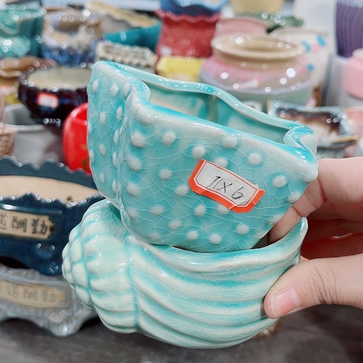 多肉花盆满10元包邮