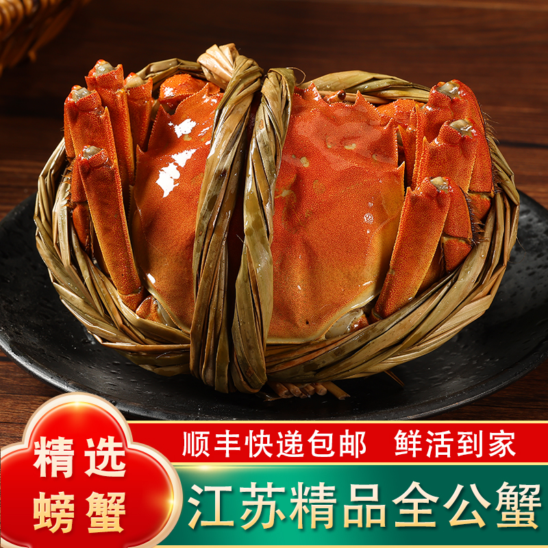 【江苏活蟹】大闸蟹全公精品蟹【5.3-5.0两】8/10只礼盒装顺丰包邮