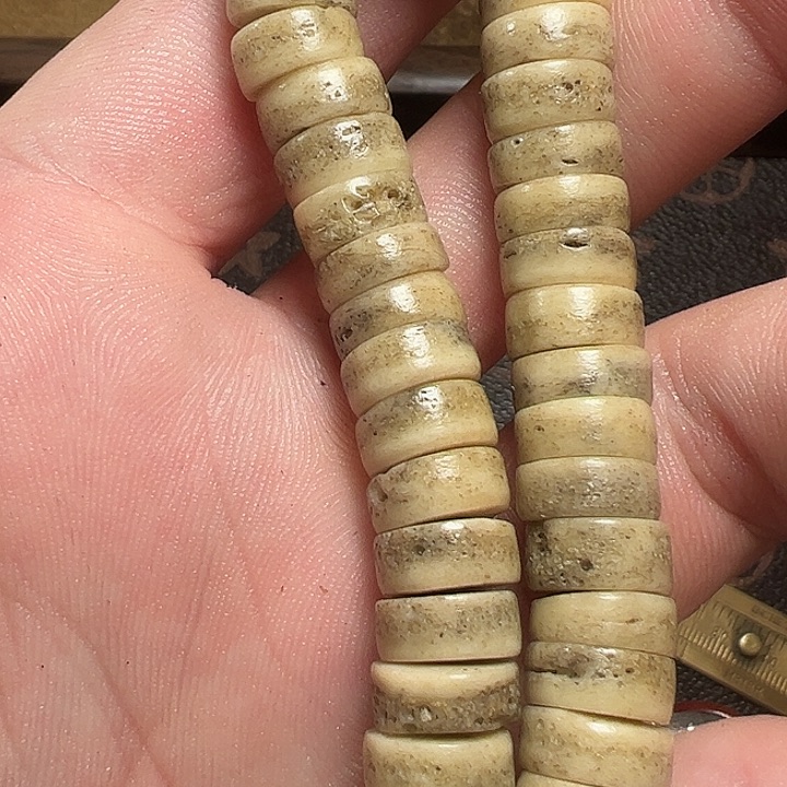 我们都是在这里看到的哈