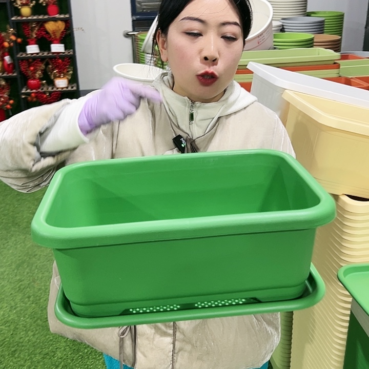 宽体小菜盆长38宽28高15混色3只带托