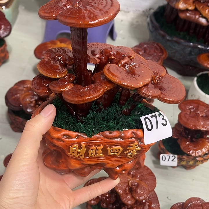 全部花朵8888888888888888888