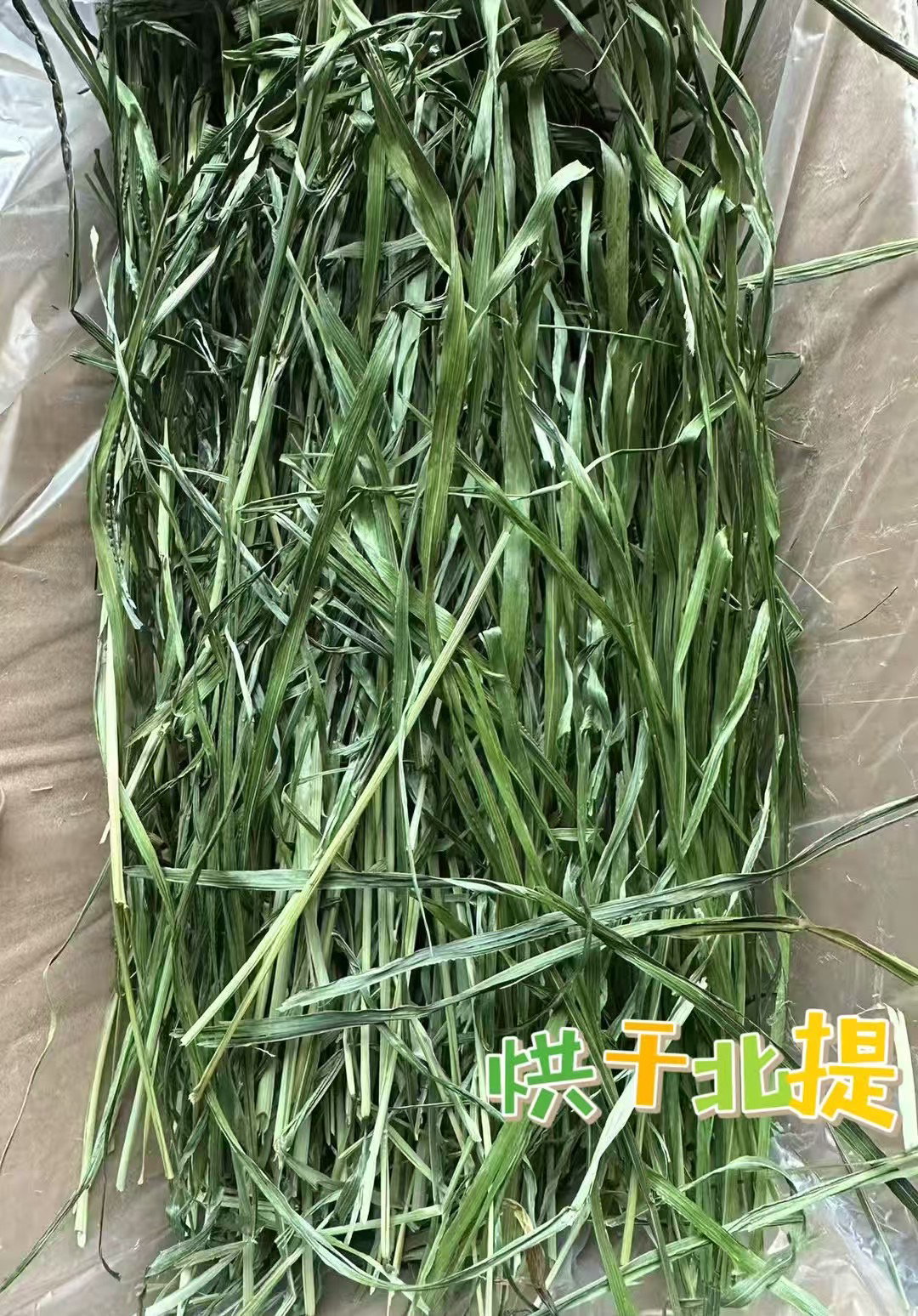 头茬烘干北提超香一级提摩西草兔子龙猫猪宠物主粮750g