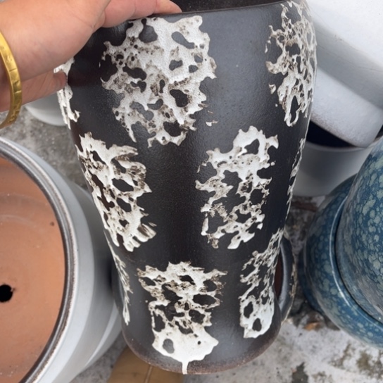 红陶口18高32正品