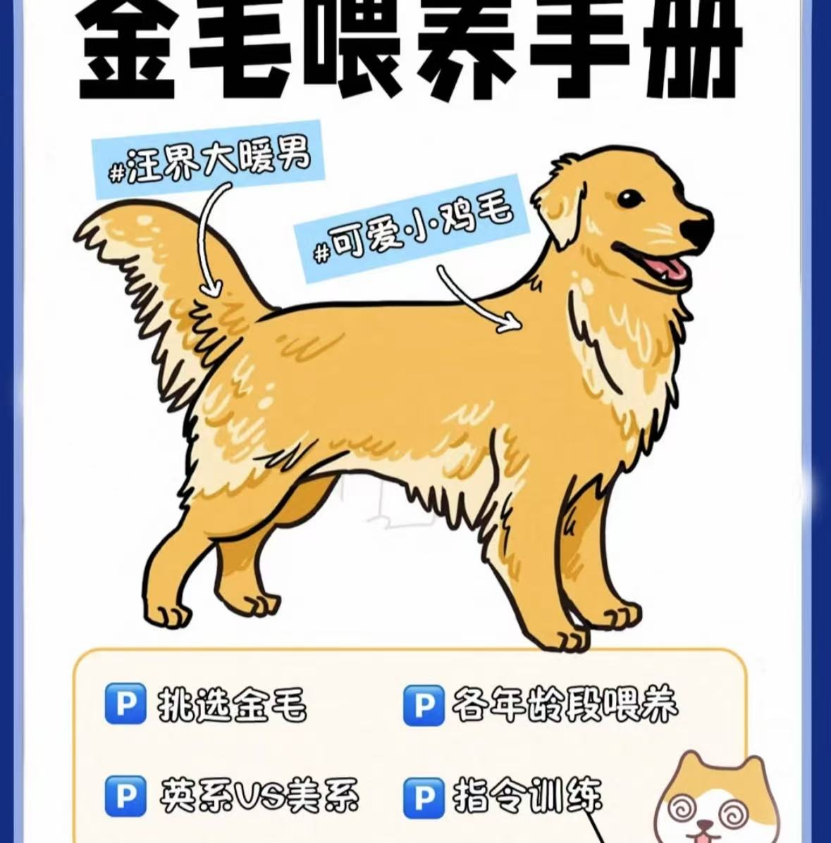阿林教你如何挑选狗狗