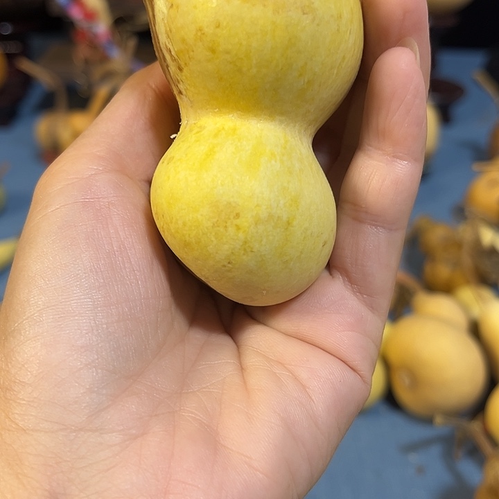 闲***适葫芦啊啊啊啊啊啊啊啊啊啊啊啊啊啊