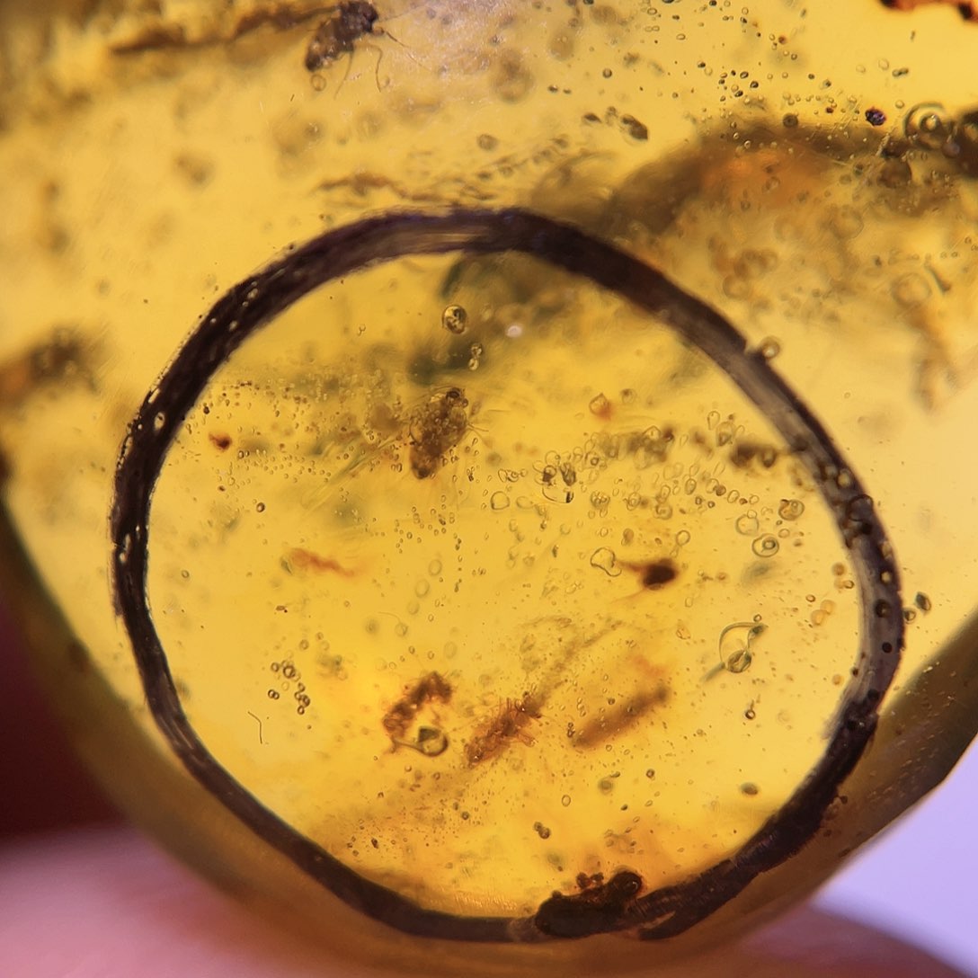 琥珀裸石未镶嵌！