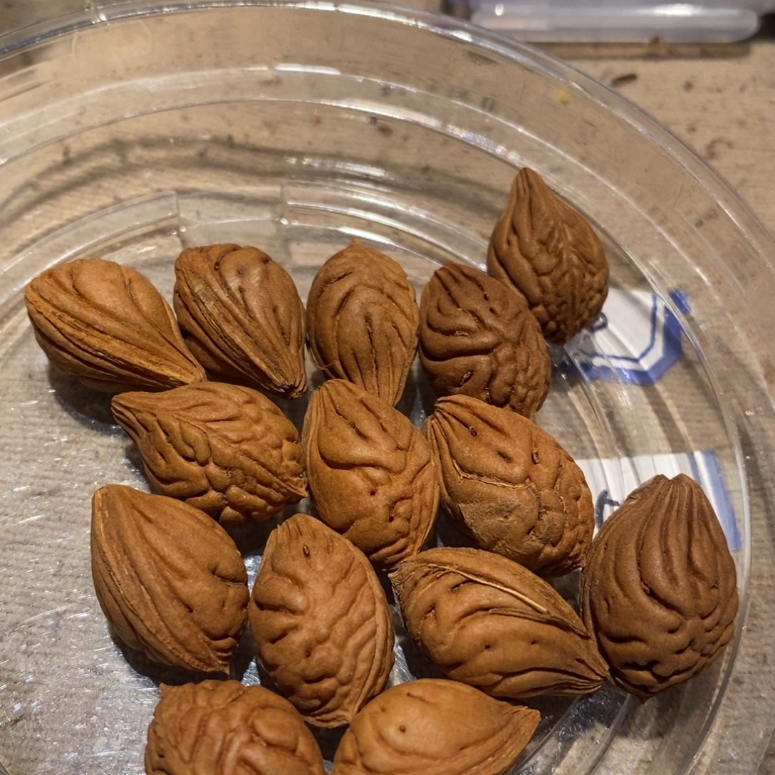 桃核吊坠龙纹桃核卡13的14颗不打孔