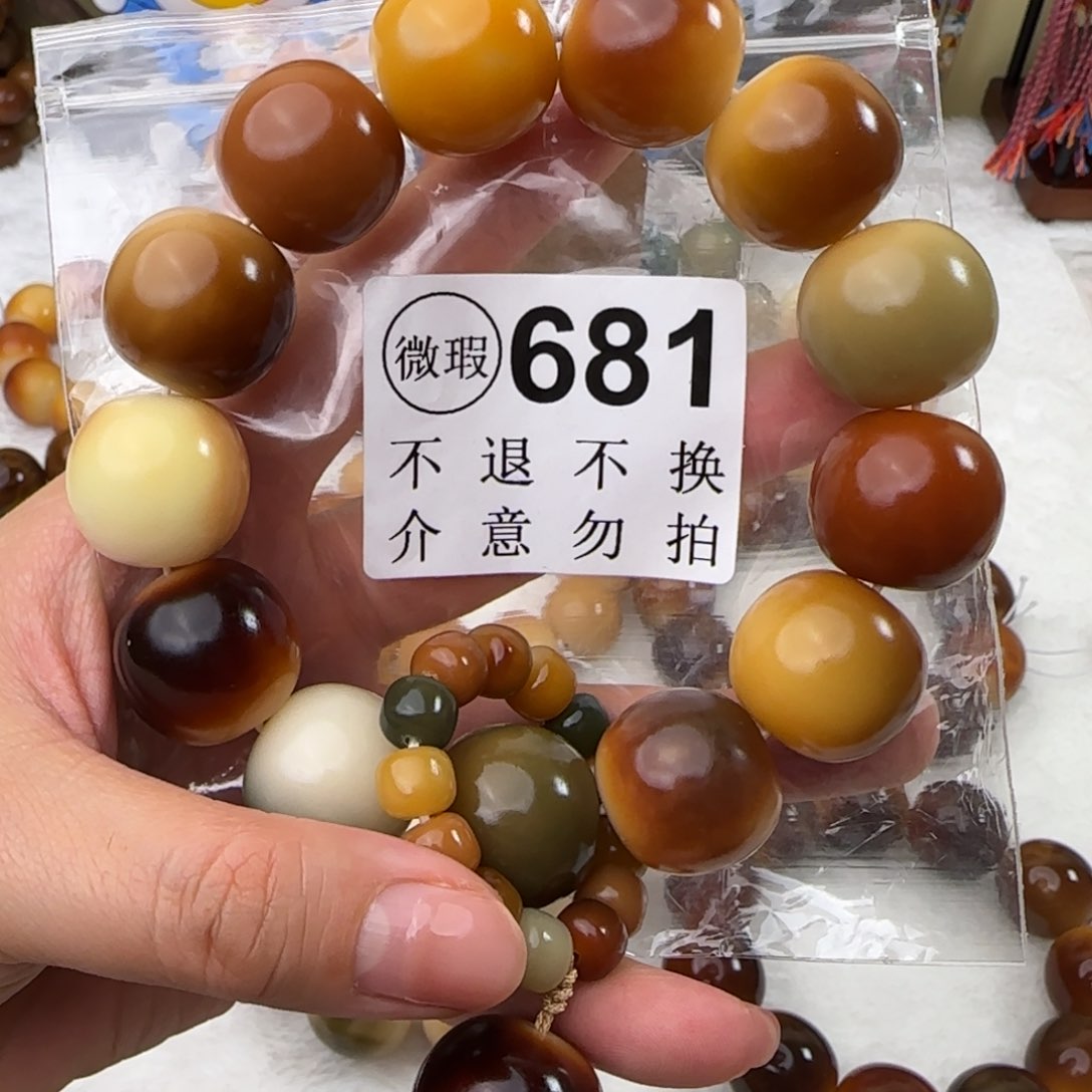 菩提根/象牙果手串681