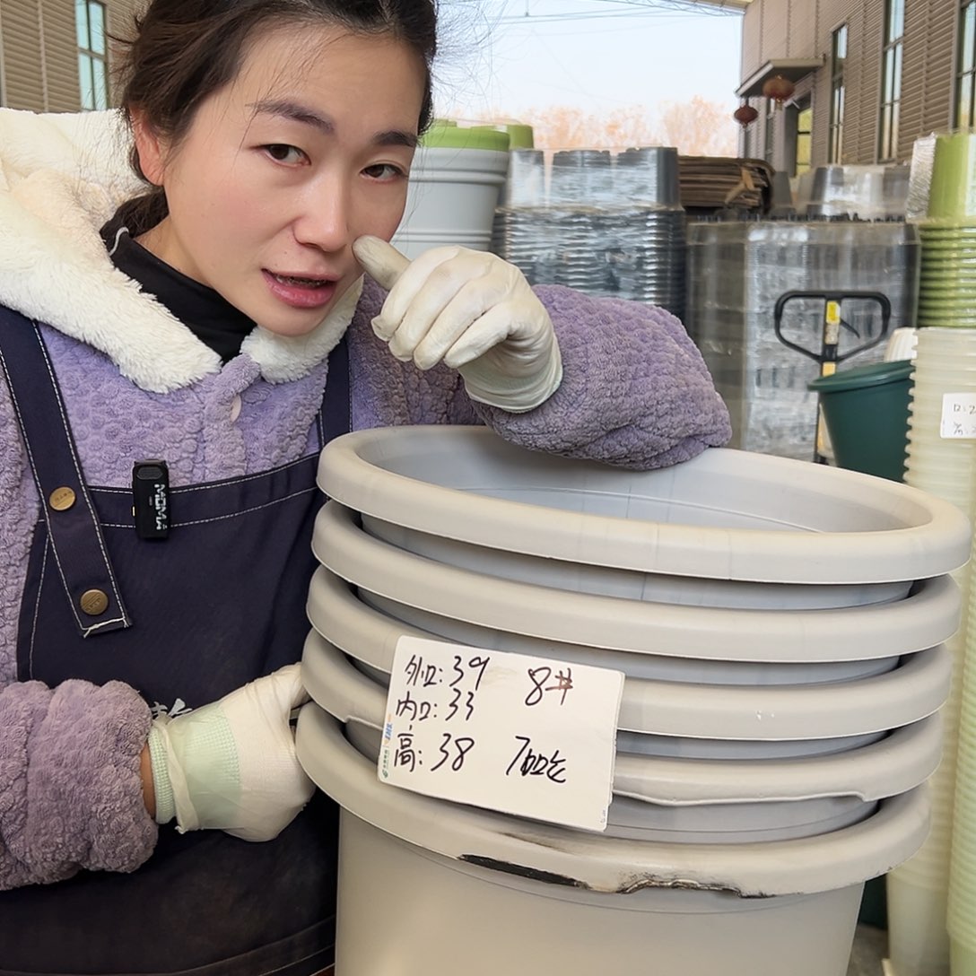 瑕疵四季盆8#灰白5个无托