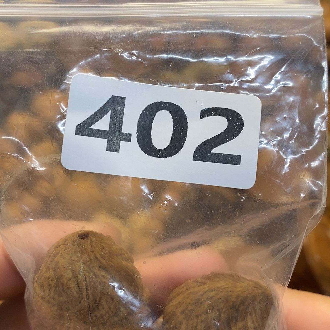 吊坠橄榄核张*民