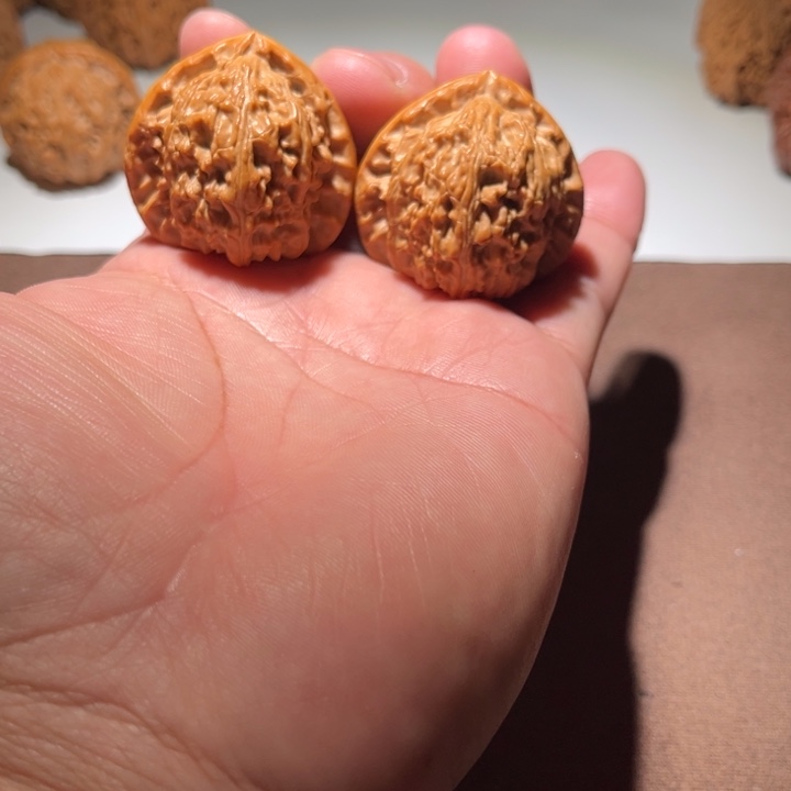 星***里精品白狮子38尺寸