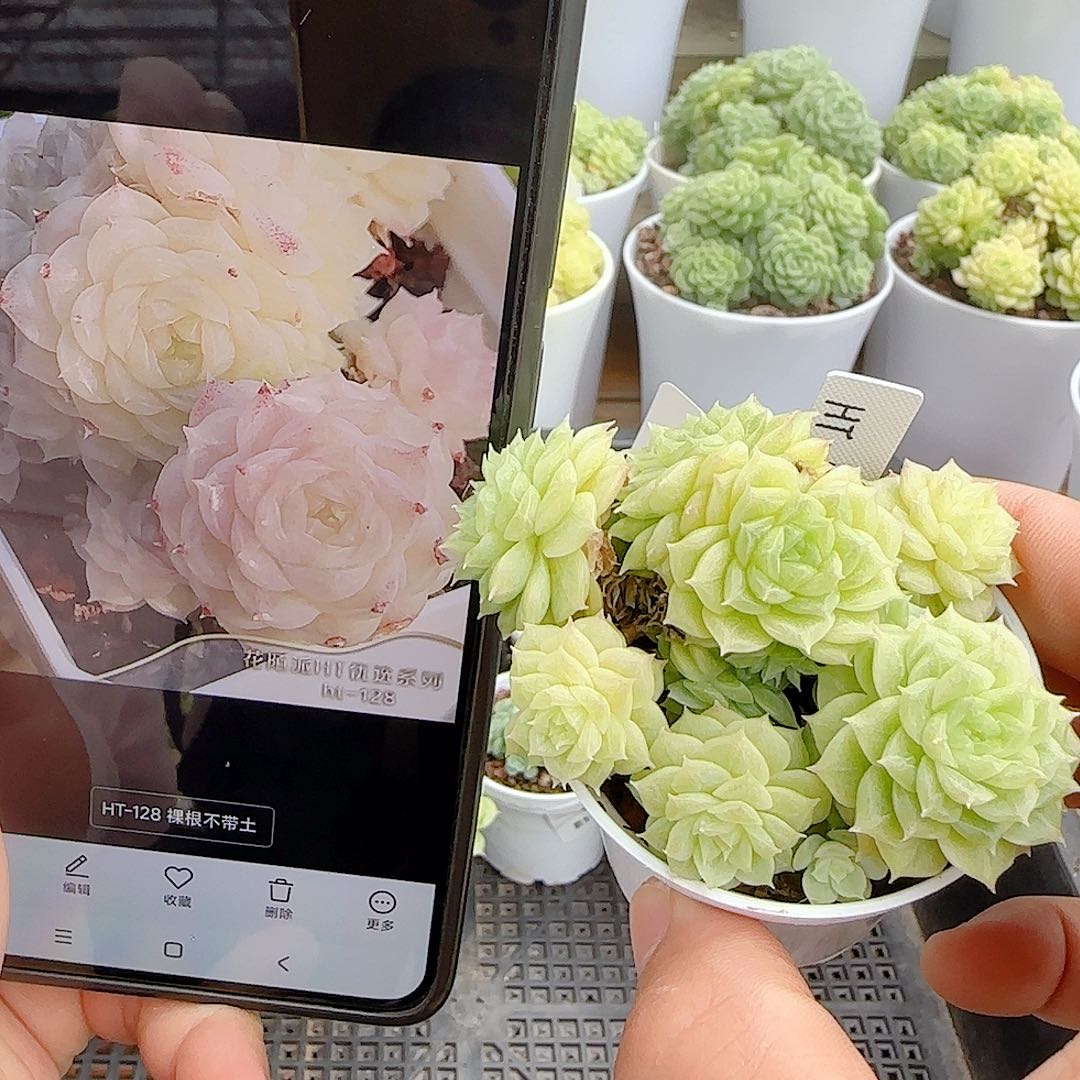 【闪购商品】0906-11（ht-128）