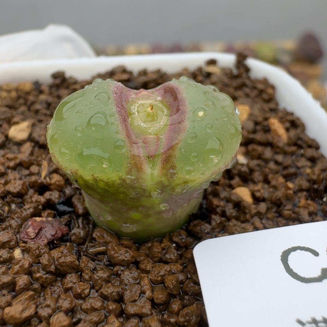 694哈哈哈哈哈哈哈哈哈哈