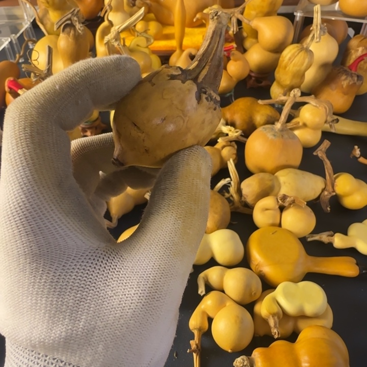 幸***狗绒面是符合看结结巴巴b哈哈哈哈哈哈哈