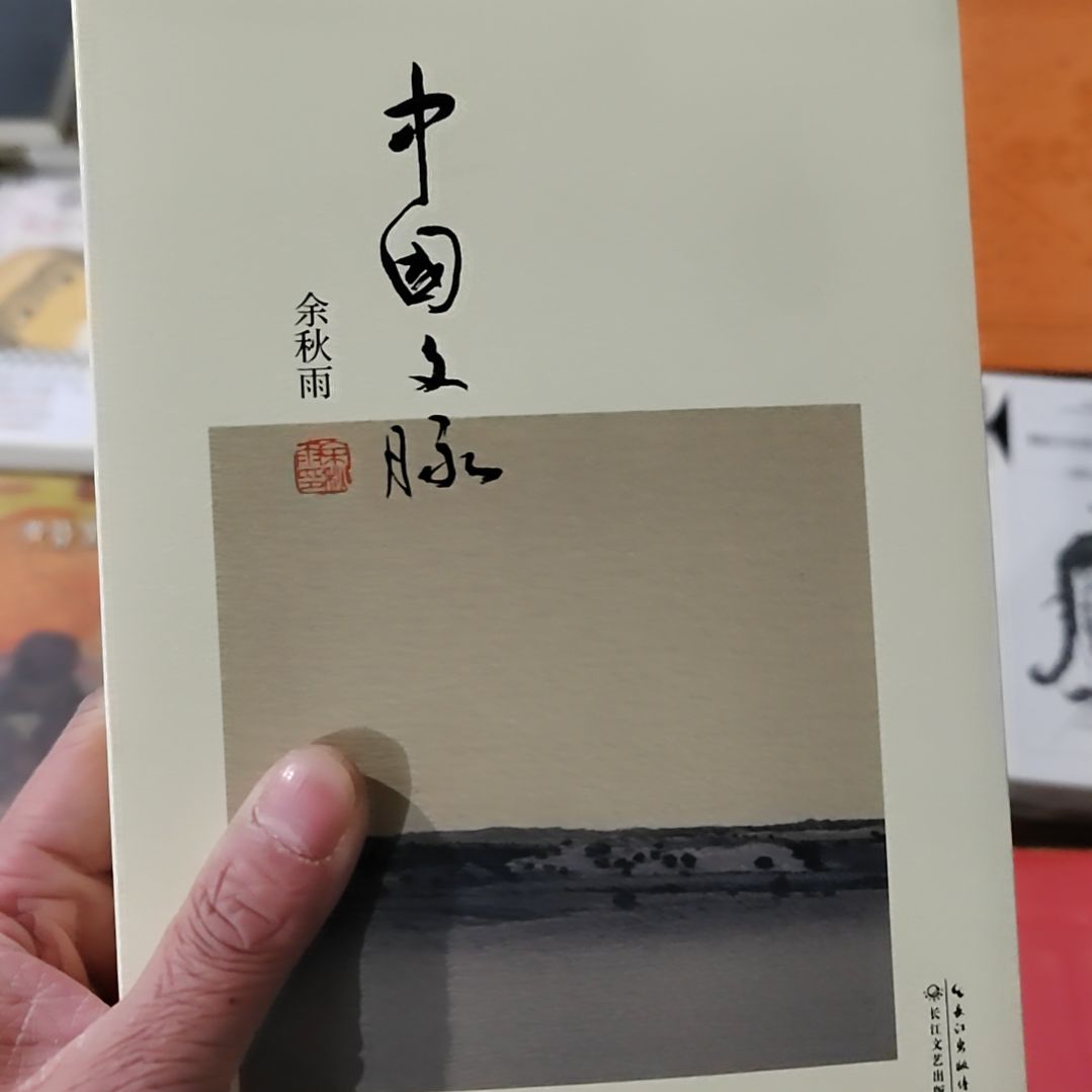 中国文脉没塑封   