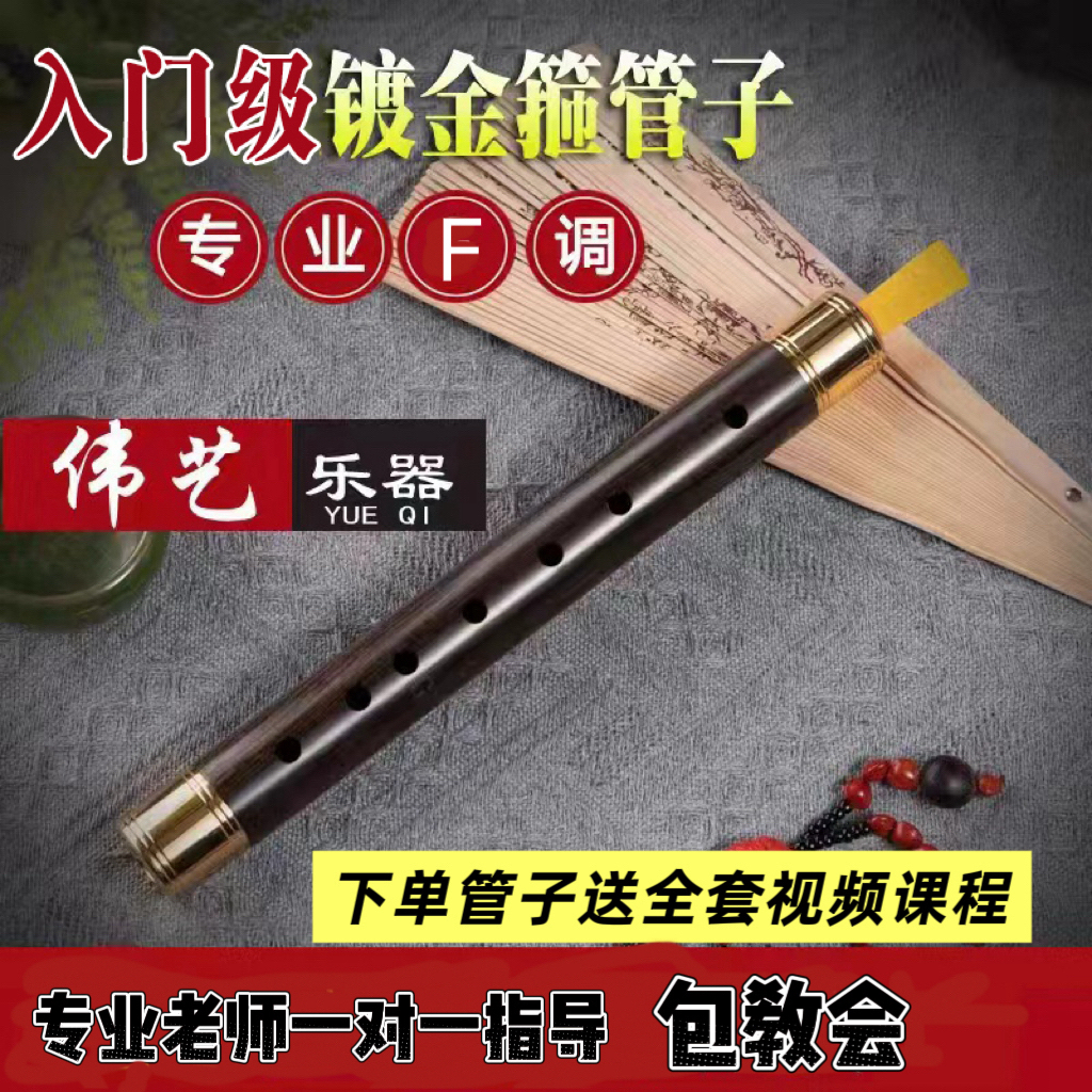 【入门级】紫光檀专业F调管子