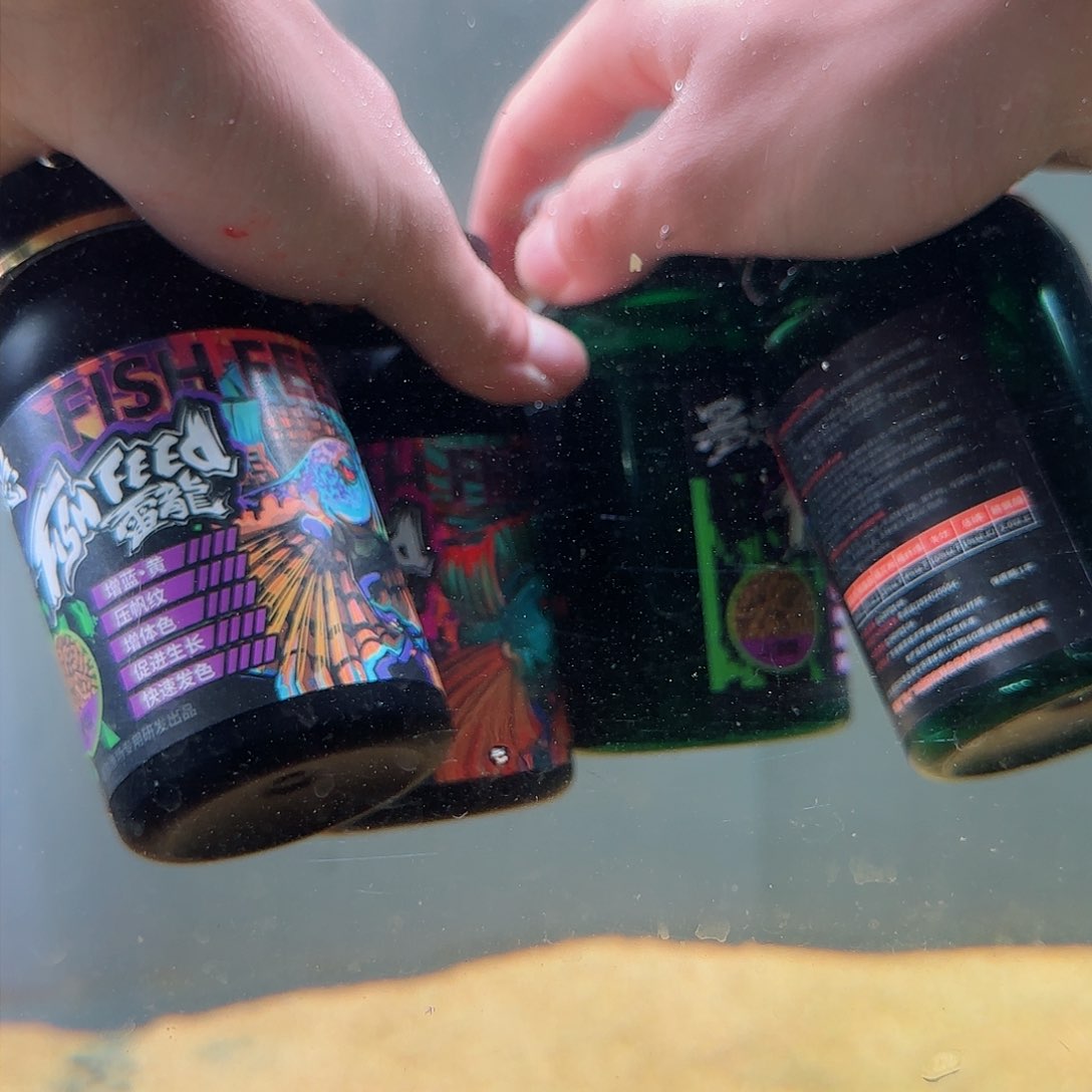 热带鱼公100000000555555555