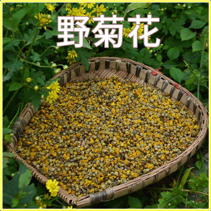 巴中农村本地野菊花当季新货不熏硫泡水泡茶煮水