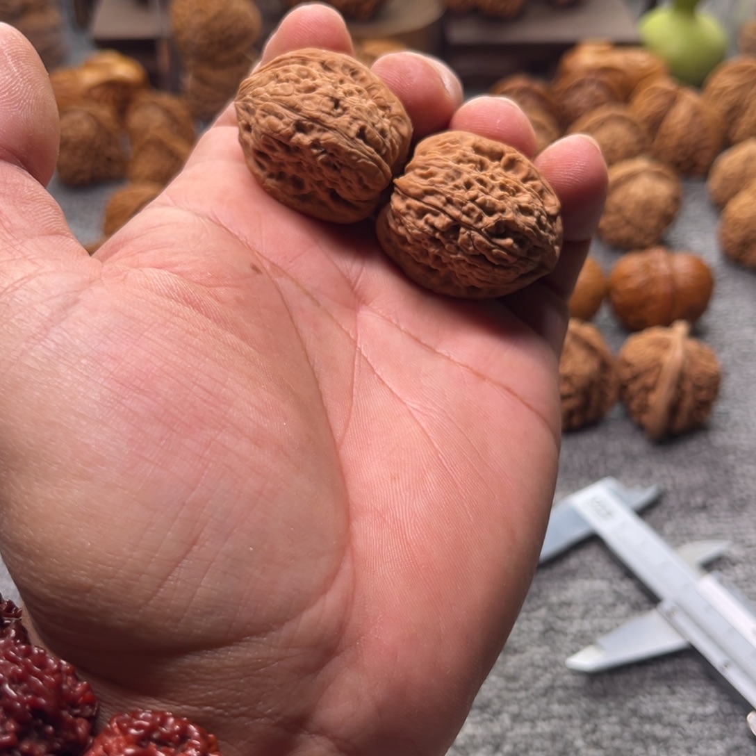 把件文玩核桃逐鹿南疆蚂蚁拉丝纹