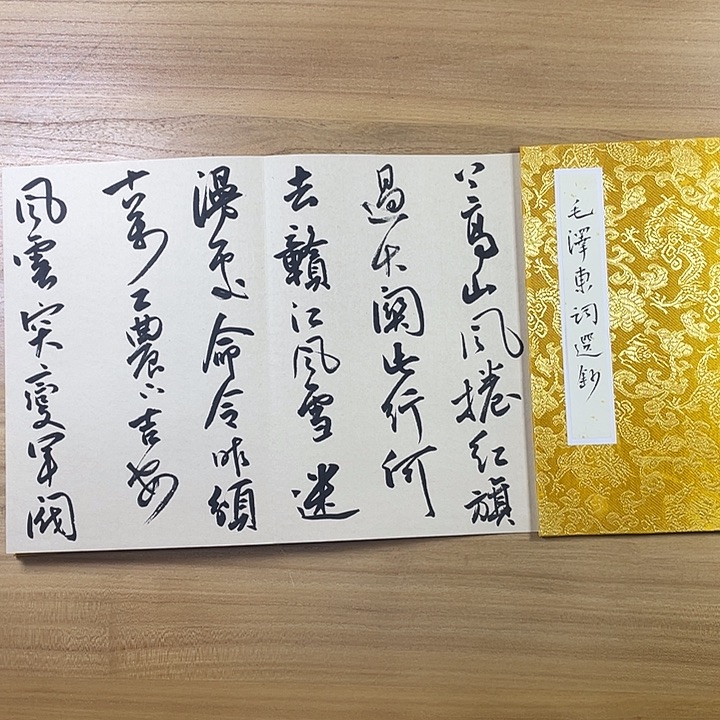 书法中书协会员作品