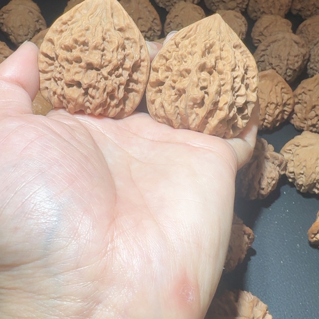 木质类原状麒麟纹官帽48全品