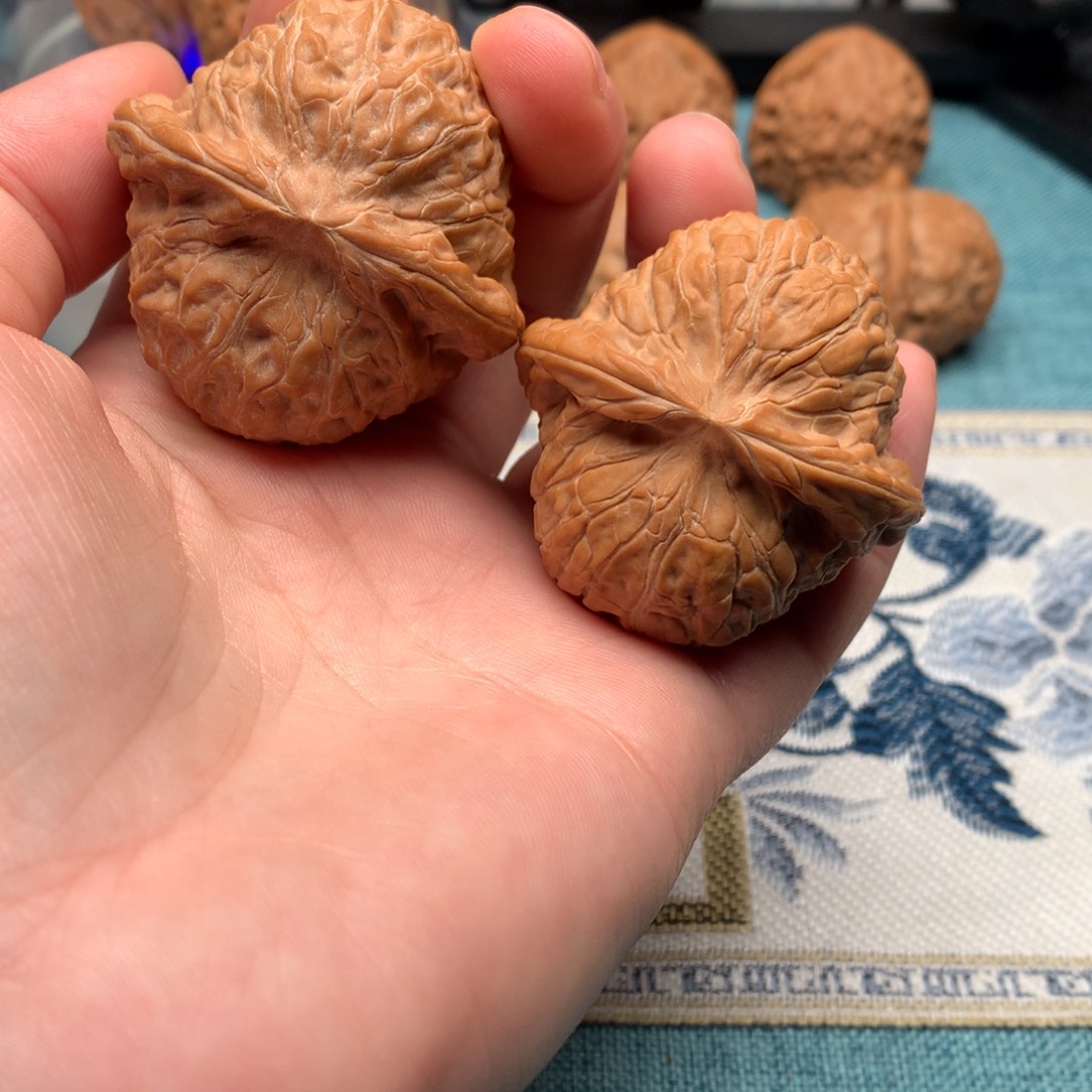 駱***方桃核把件43尺白狮子