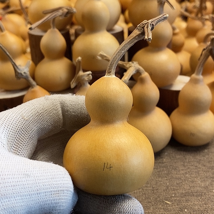 文玩葫芦 完美主义者 慎拍14