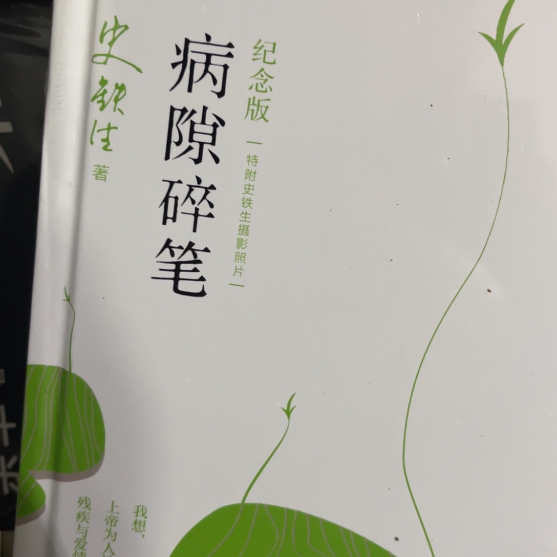 病隙碎笔精装一个