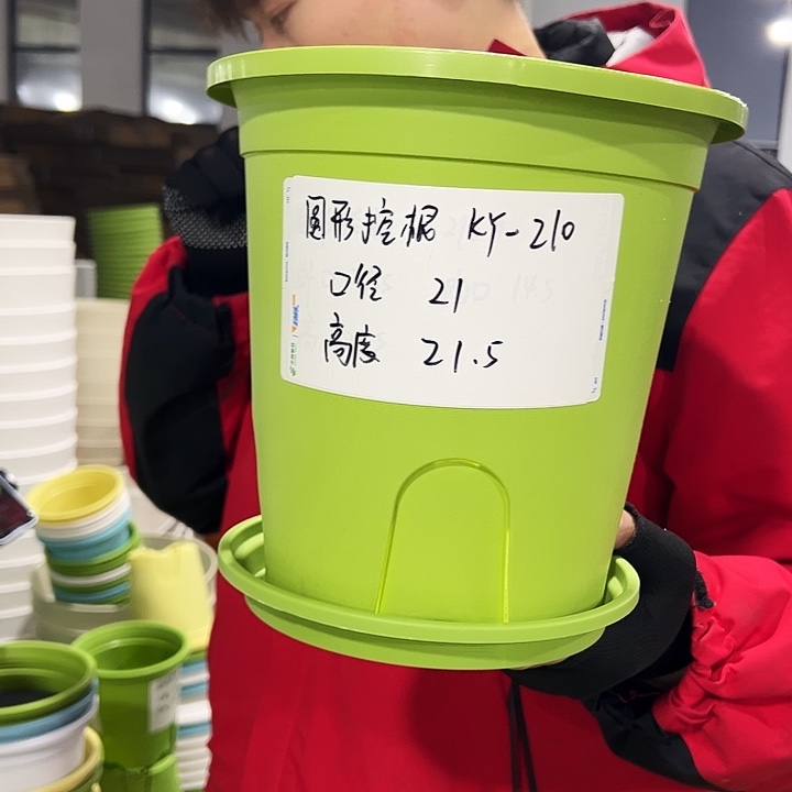 正品圆控口21高21果绿色8只带托