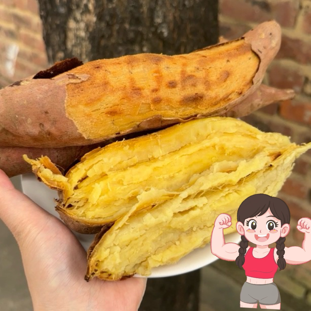 锅哥干巴噎人薯｜百克105大卡24.4g碳 严格送检 薯如其名