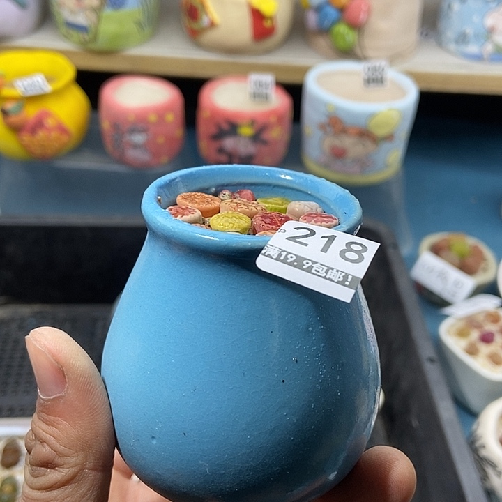 218大舅生石花肉锥