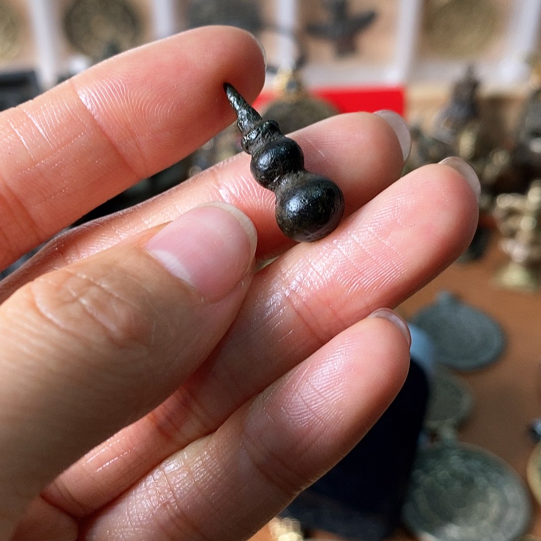 L****z66666666666666666