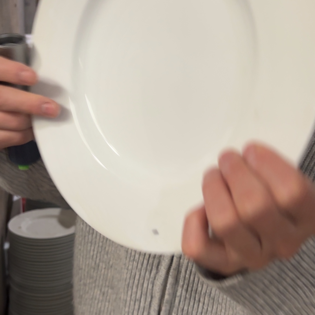 陶瓷10英寸高白泥炒菜草帽盘2只微瑕